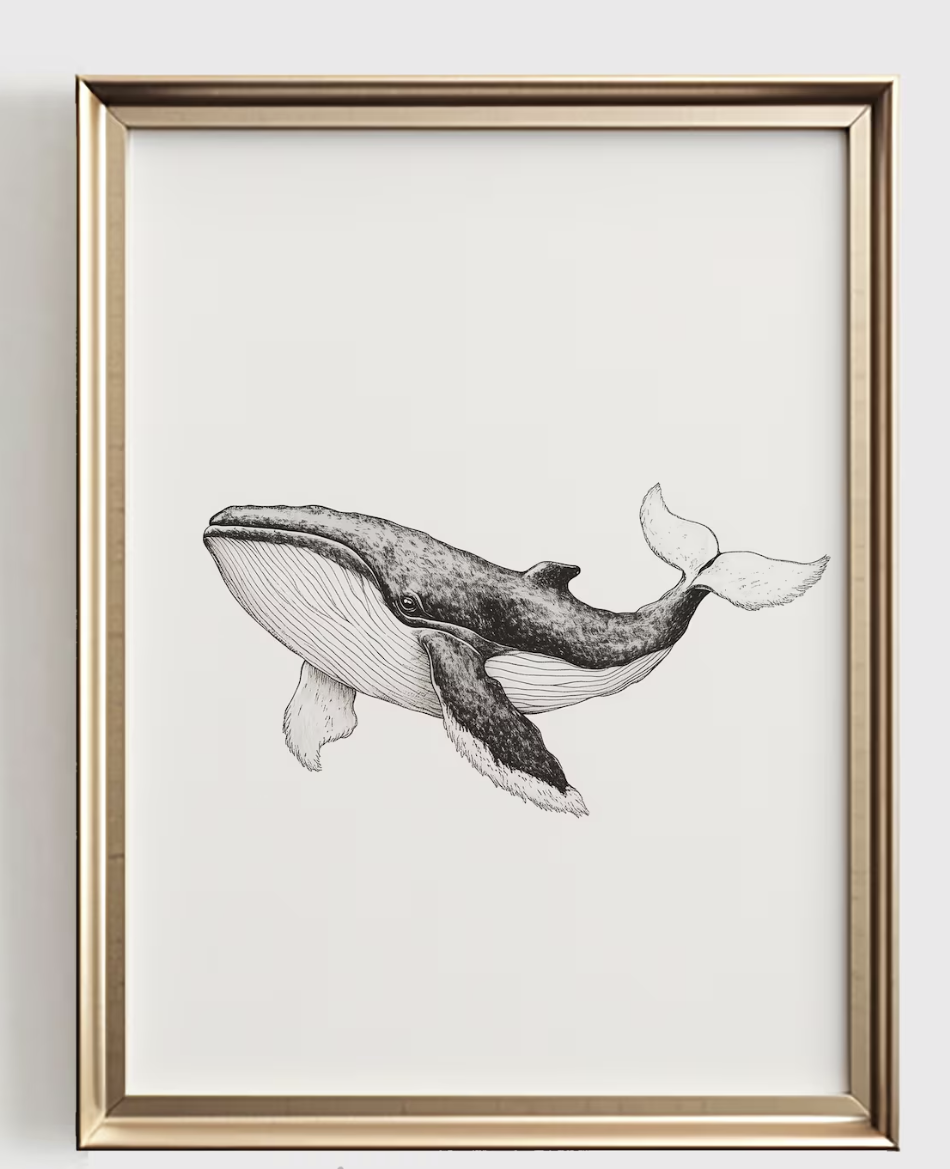 Whale Line Art Print, Minimali - đánh giá và giá Baby Nursery Art